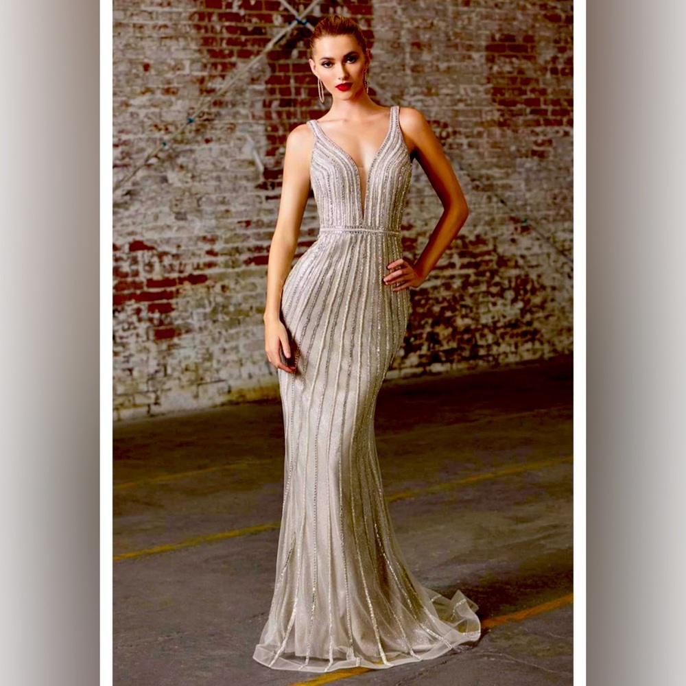 ✨ Host Pick ✨Prom or wedding gown - Cinderella Divine